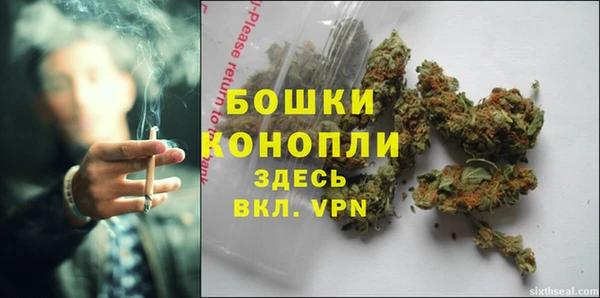МДПВ Козловка
