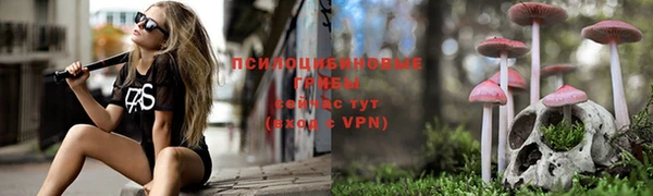 прущие крисы Киренск