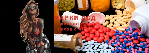 индика Карпинск